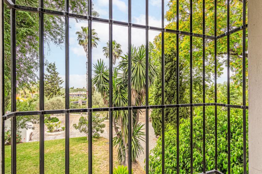 Las Codornices - foto 45