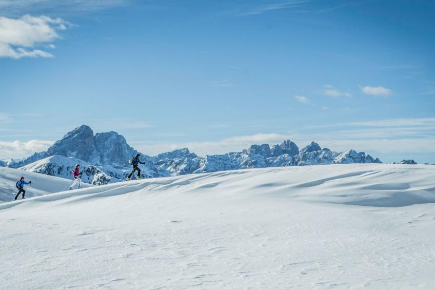 Alpenchalet Schmied - foto 22