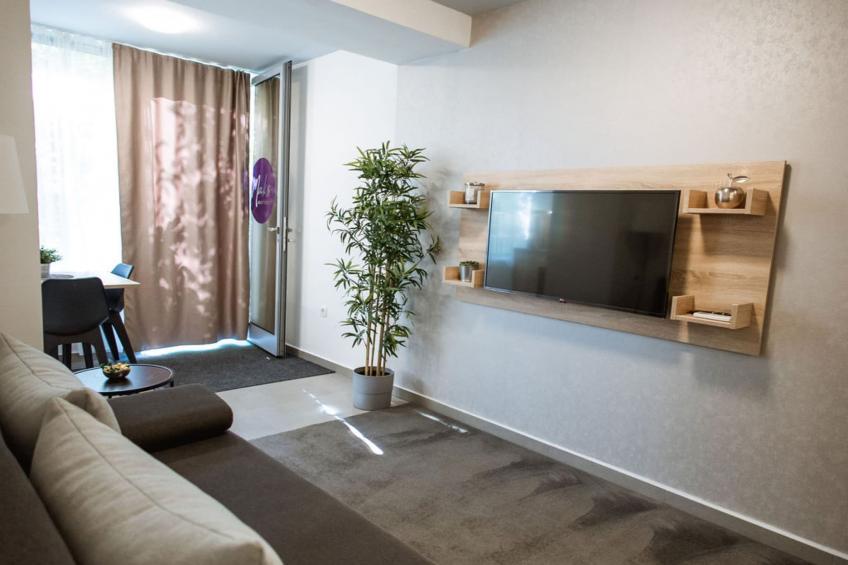 Stylish Apartments with Osijek Near Top Attractions - Standard Studio Apartment  - Maks 3 - foto 2