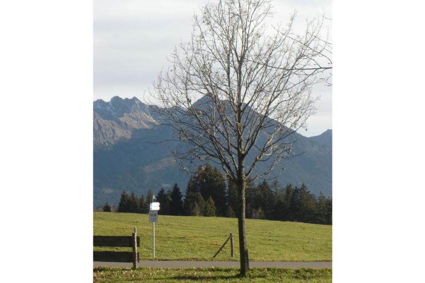 17690 - foto 10