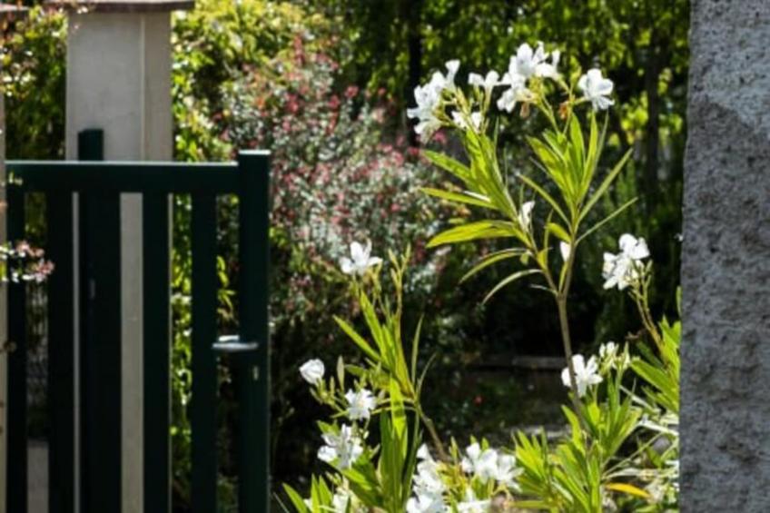 Grande Maison Confortable à Tours Nord - foto 4