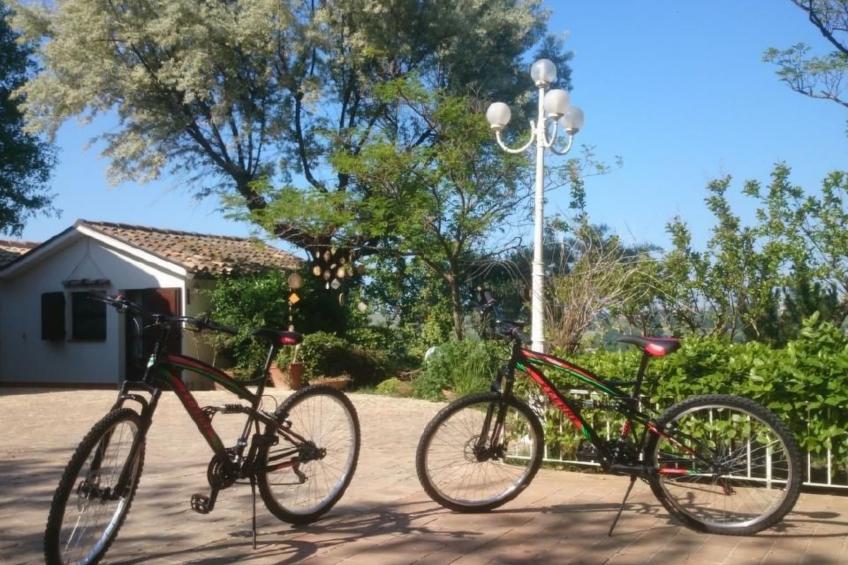 OWL Apartment - Pool - Ansichten - Kunst - foto 35