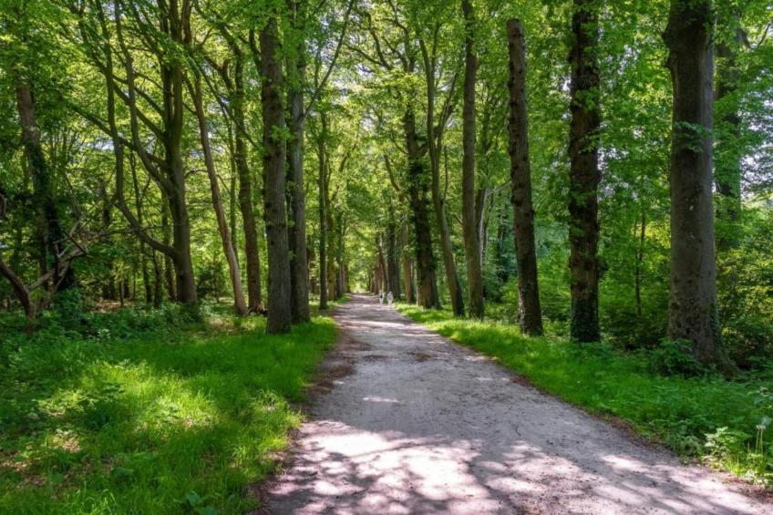 Resort de Parel 14 - foto 38