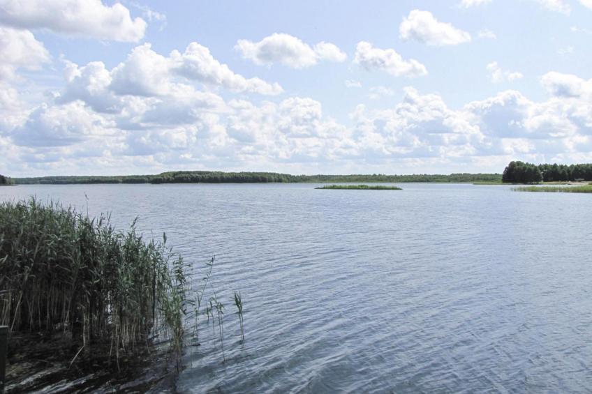 holiday home, Nowa Kaletka- - foto 18