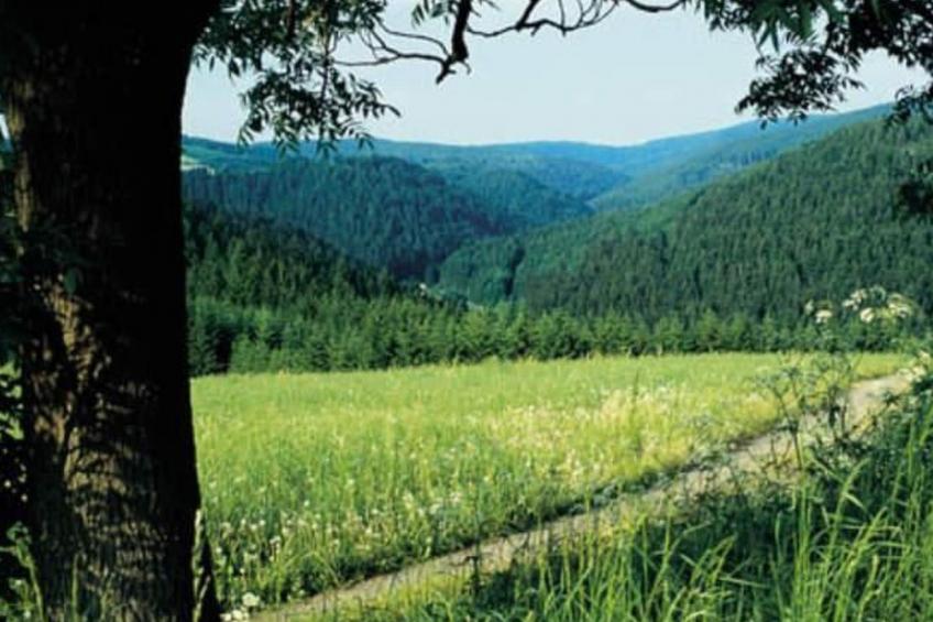 Appartement in Elbersreuth mit Garten - foto 17