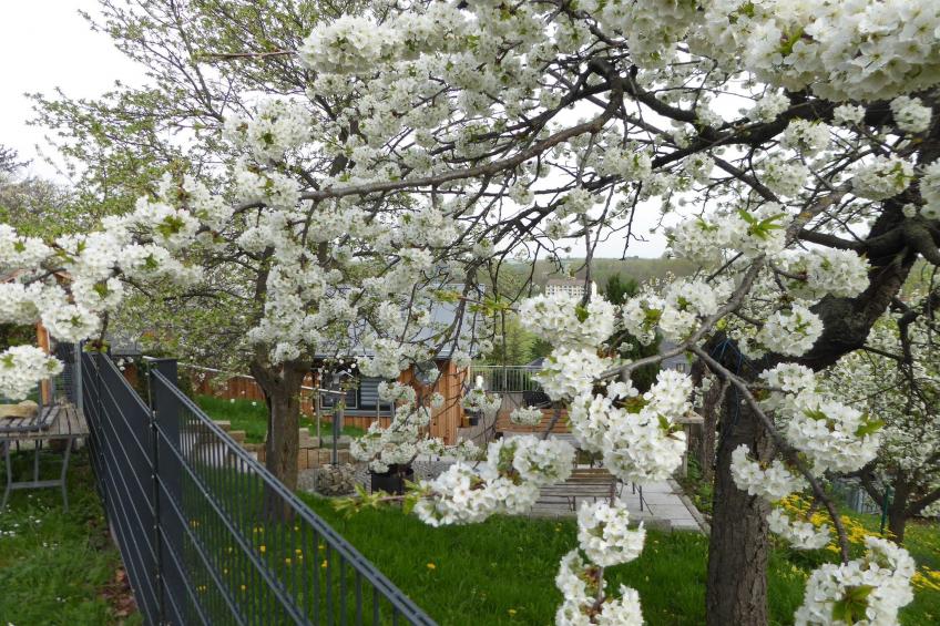 Teufelsmauerblick - foto 28