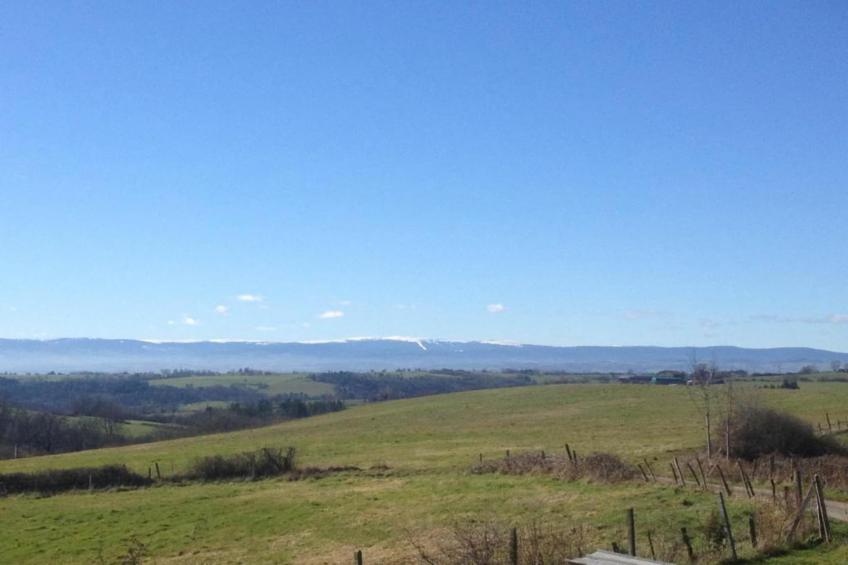 Gîte de Ville - foto 25