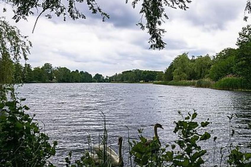 Fürst Pückler - foto 13