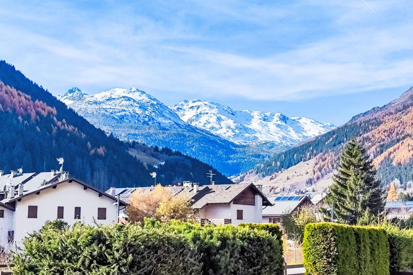 The Silent Sylva - foto 19