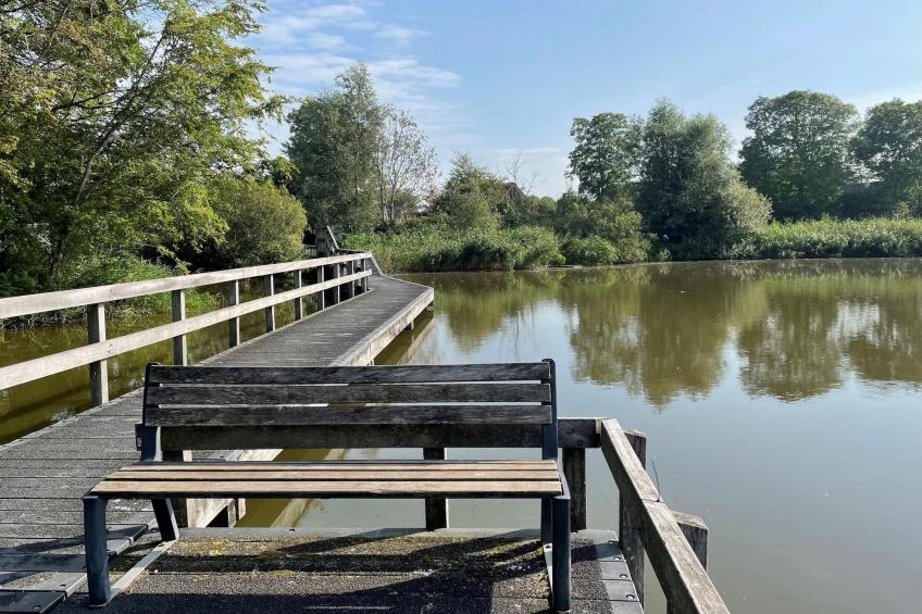 Slapen tussen de duinen - 53 - foto 25