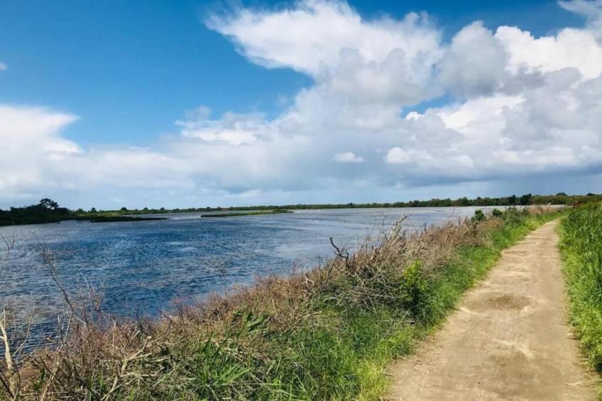 Les Rives Marines - foto 27