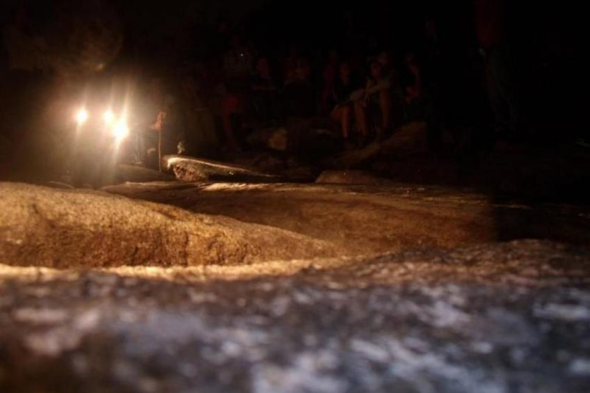 NATUR IN IHRER REINSTEN FORM - foto 29