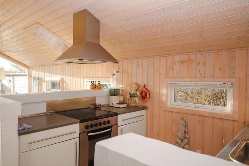 "Laurentia" - 800m from the sea in NW Jutland - foto 4