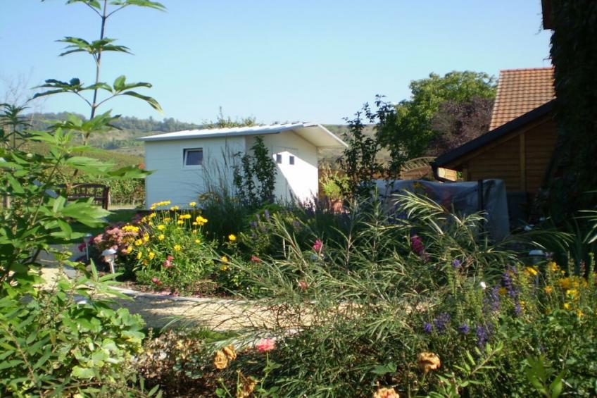 63629 - foto 3