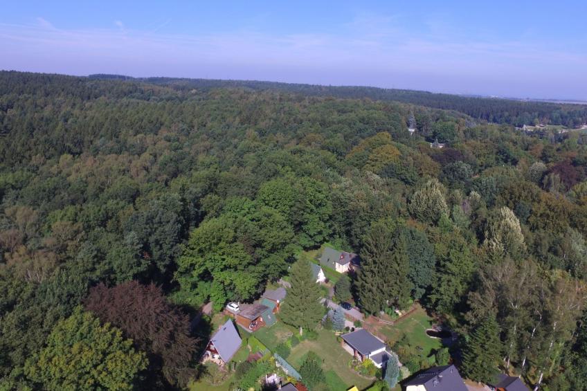 Waldhütte - foto 29