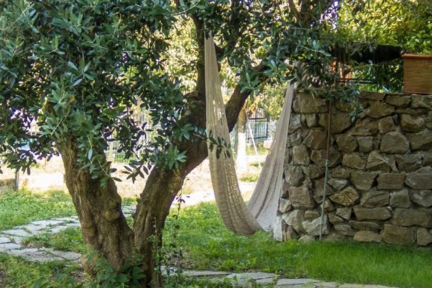 Unabhaengige Wohnung in Velva mit Garten und Grill - foto 16