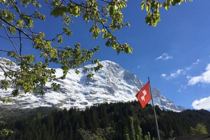 Chalet am Bühl - foto 33