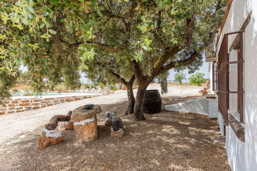 Ländliches Haus El Ventorrillo - foto 29