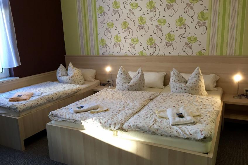 Blechleppel - foto 14