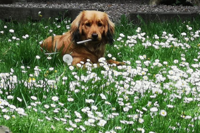 mit Privatparkplatz - foto 25