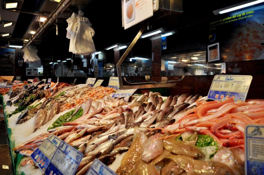 1216 THALASSA Estudio - foto 9