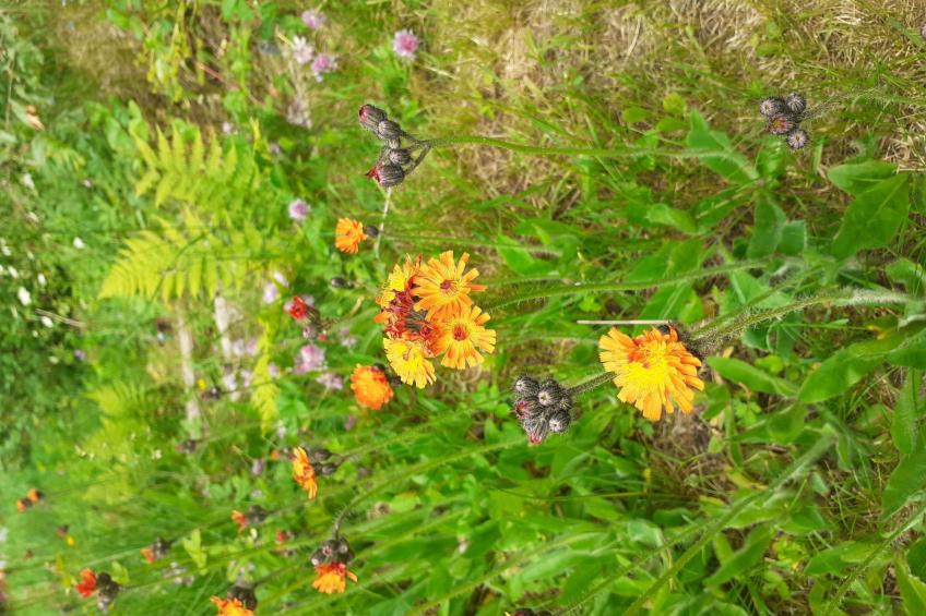 für 6 Personen im Thüringer Wald - foto 27