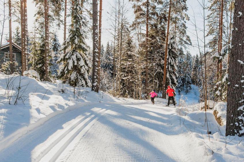 Vesan villa - foto 30