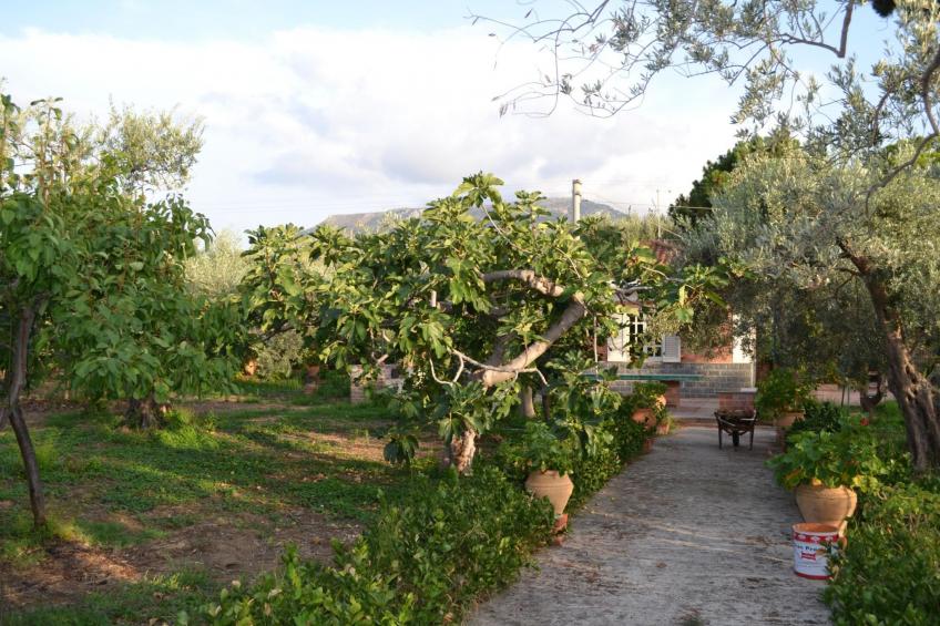 direkt am Strand - foto 9