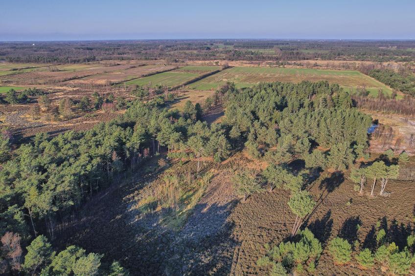 Lierelodge - foto 53