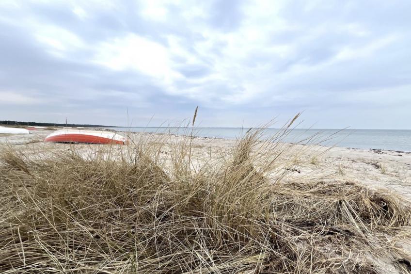 "Holmfridur" - 1.1km from the sea - foto 5