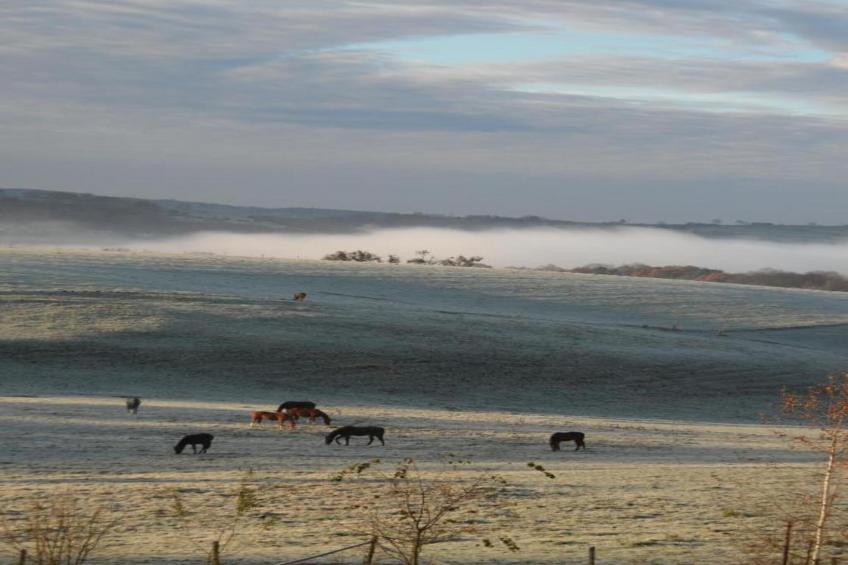 L'Escarlotte - foto 35