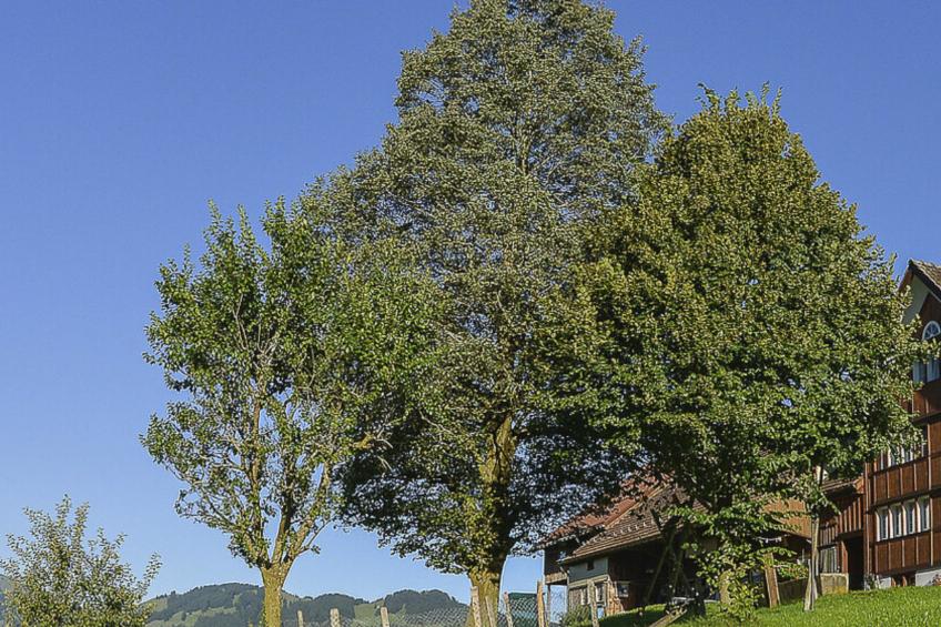 Ferien Alpsteinblick