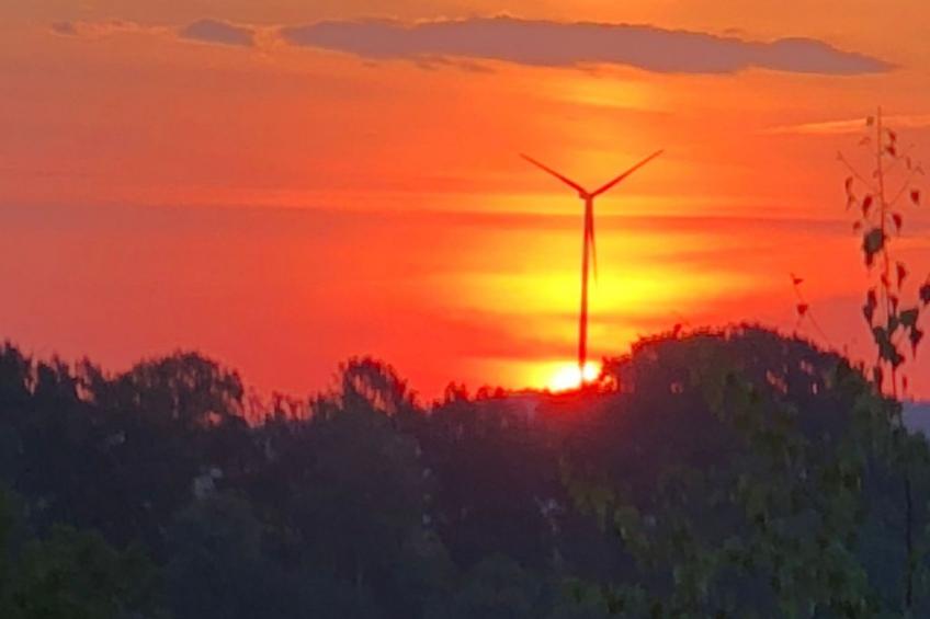 Stausee in Kirchheim Seepark - foto 27