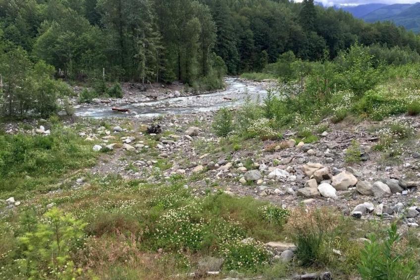 Gemütliche Hütte mit Whirlpool und haustierfreundlich - foto 23