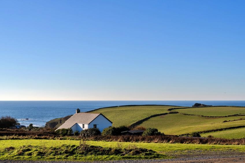 Lizard Point - foto 13