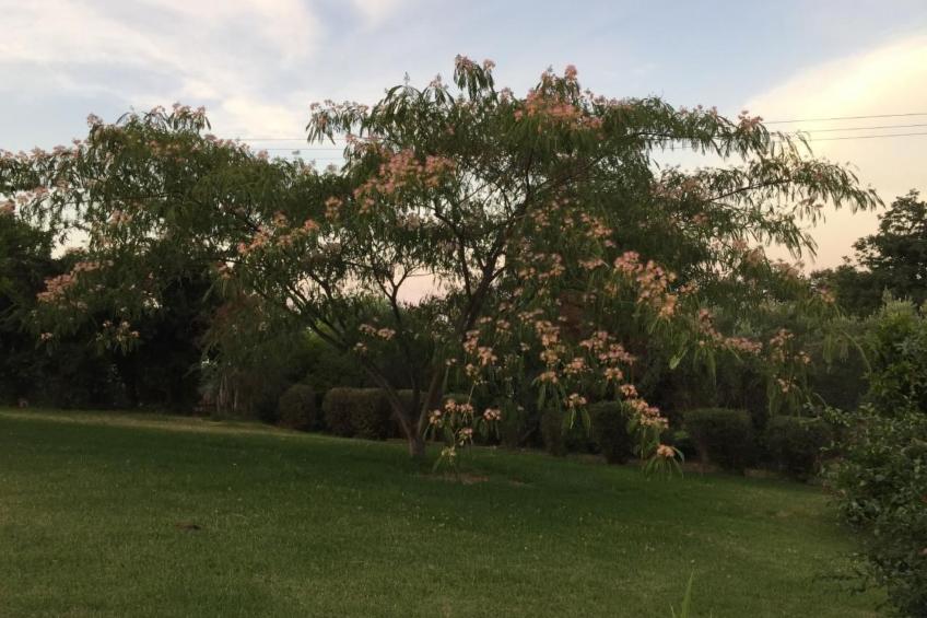 Villa Belle Vue, direkt am Meer, 1-2 Haustiere erlaubt - foto 19