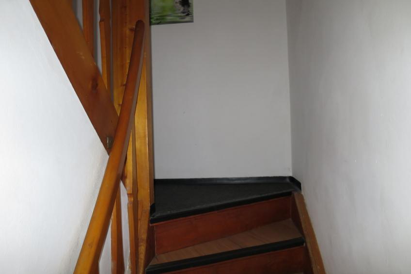 Grüne Oase (OBL120) - foto 19