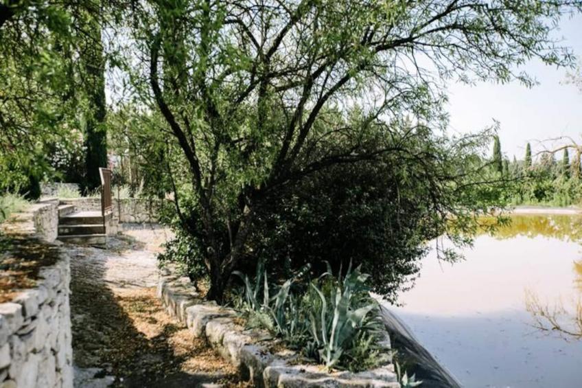 La Volière - Pernes-les-fontaines - foto 32