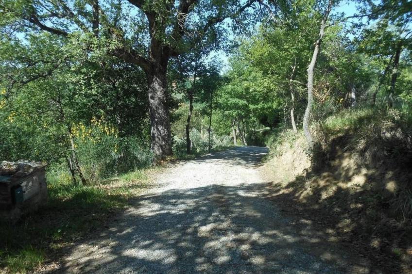Haus Banditello, Blick auf das Tal von Montepulciano - foto 25