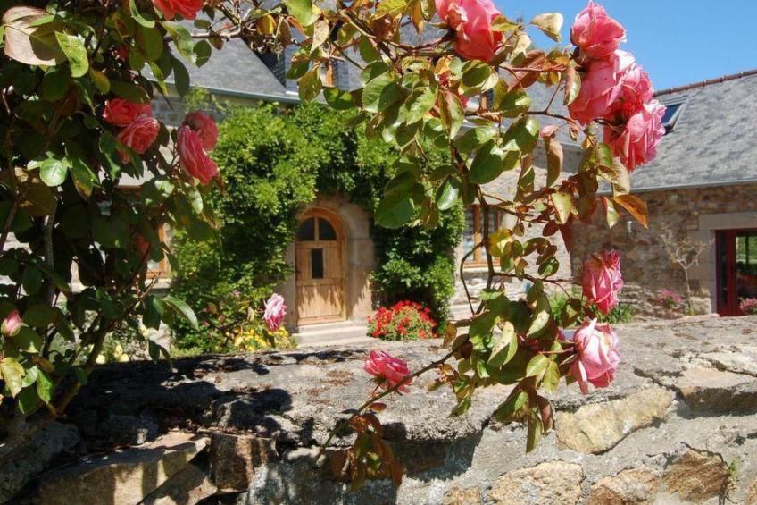 Wunderschönes Haus mit Garten in Lézardrieux - foto 30