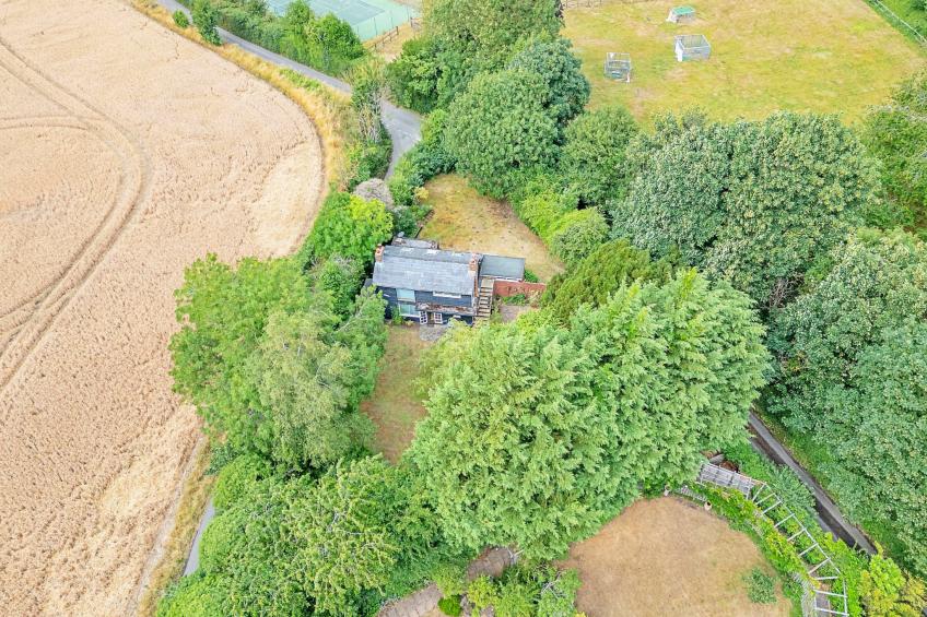 Hollybush Studio - foto 27