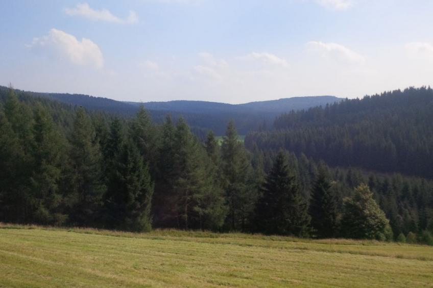 188590 - foto 8