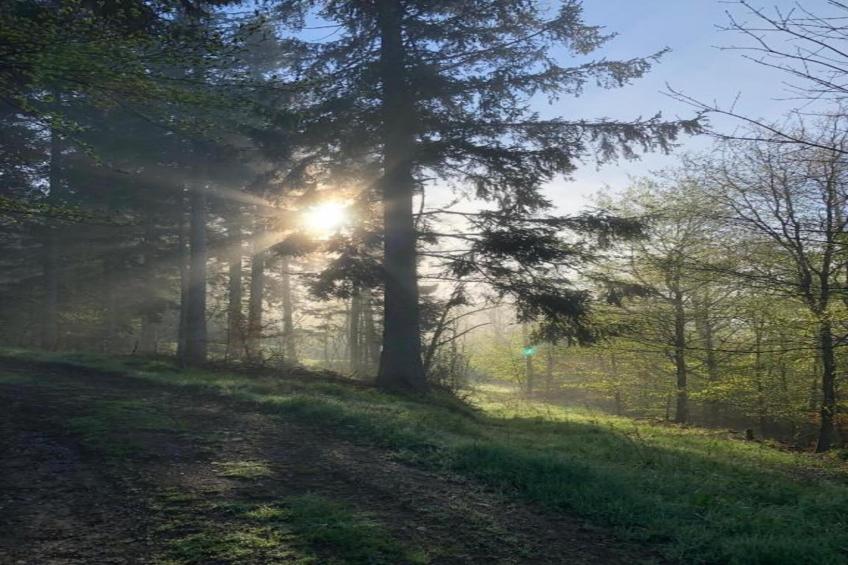 Ferienwohnung an der Talsperre Rauschenbach - foto 27