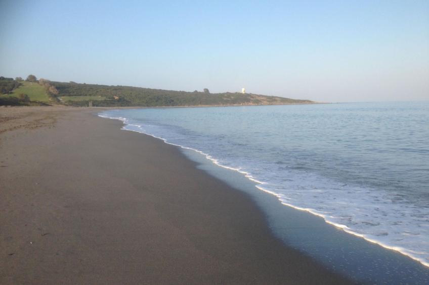 Helle, modernisierte Wohnung mit mehreren Pools - foto 13