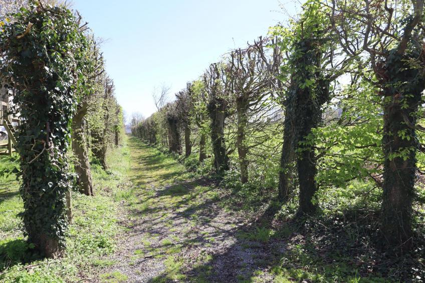 La Tour de la Chapelle - foto 37