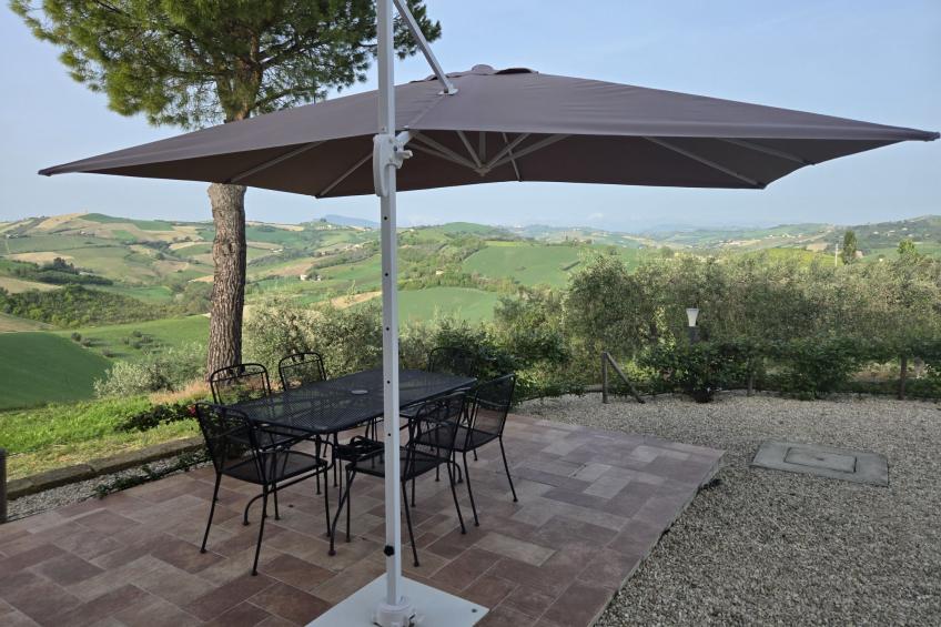 Leone D'Oro - foto 3