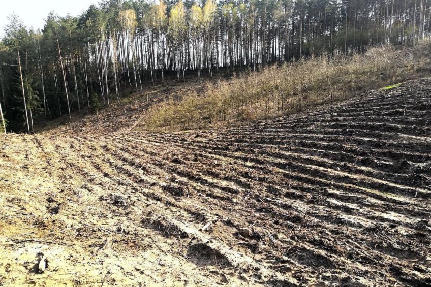 "Ferienhaus GolczaVita" - foto 24