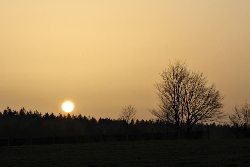 am Hohen Venn - foto 28