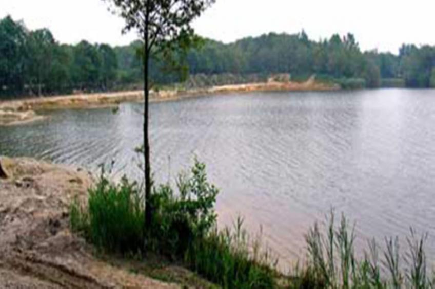 Vogelspotlodge Scholekster - foto 21