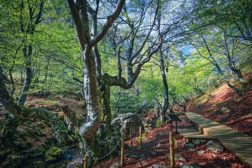 Rural House in the mountain of León - foto 32